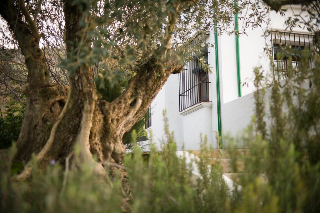 Casa Olea hotel rural Priego de Córdoba Esterno foto